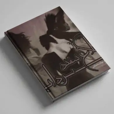 کلاغ سفید در مرداب