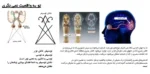 حکمت قرن