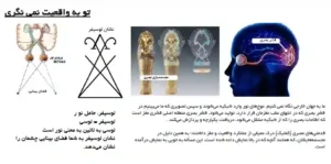 حکمت قرن